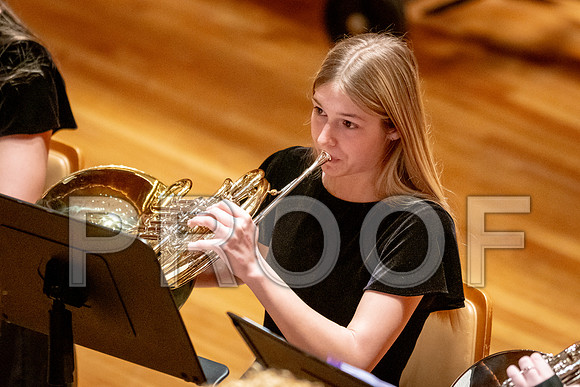 2024 University of Illinois High School Orchestra ClinicFebruary 24, 2024