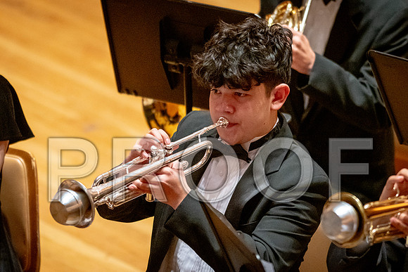 2024 University of Illinois High School Orchestra ClinicFebruary 24, 2024