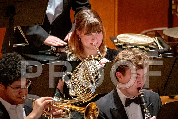 2024 University of Illinois High School Orchestra ClinicFebruary 24, 2024