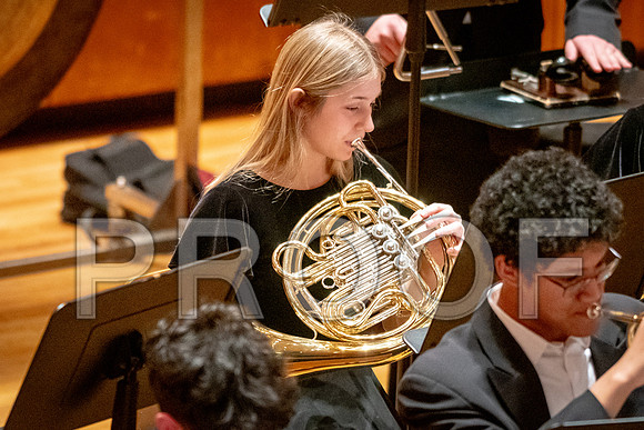 2024 University of Illinois High School Orchestra ClinicFebruary 24, 2024