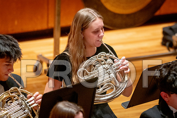 2024 University of Illinois High School Orchestra ClinicFebruary 24, 2024