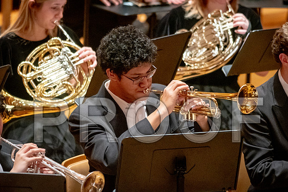 2024 University of Illinois High School Orchestra ClinicFebruary 24, 2024