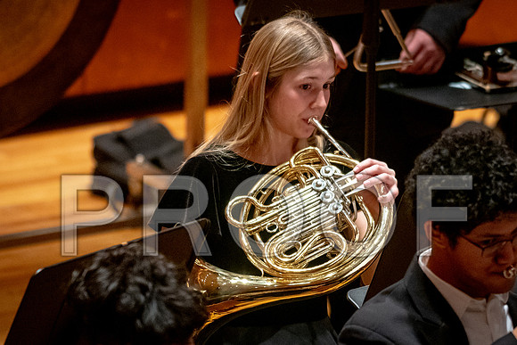 2024 University of Illinois High School Orchestra ClinicFebruary 24, 2024