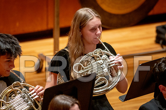2024 University of Illinois High School Orchestra ClinicFebruary 24, 2024