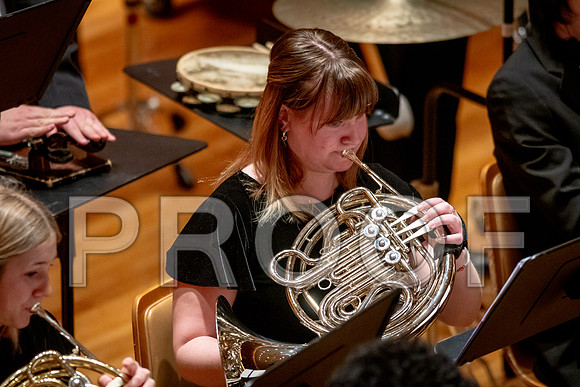 2024 University of Illinois High School Orchestra ClinicFebruary 24, 2024