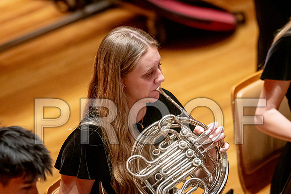 2024 University of Illinois High School Orchestra ClinicFebruary 24, 2024