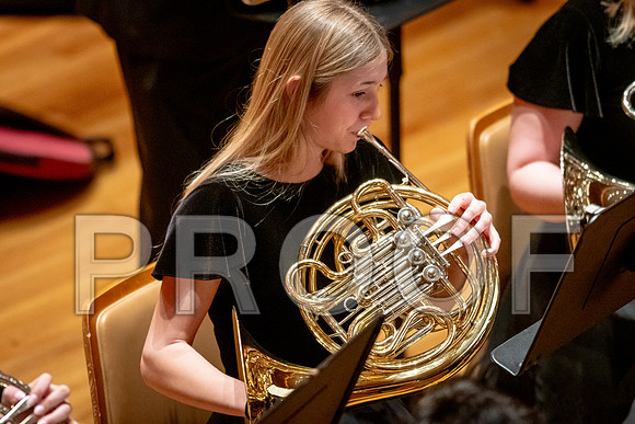 2024 University of Illinois High School Orchestra ClinicFebruary 24, 2024