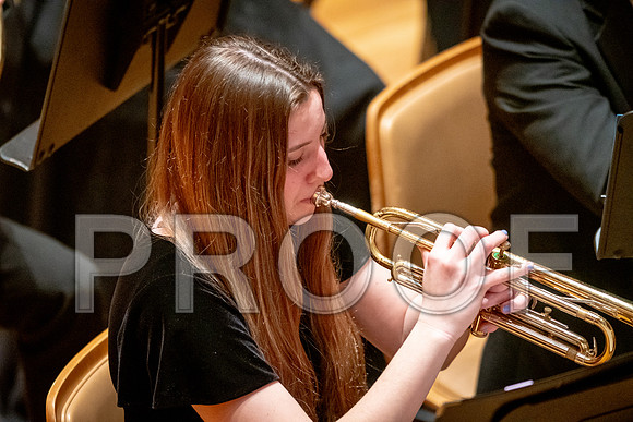2024 University of Illinois High School Orchestra ClinicFebruary 24, 2024