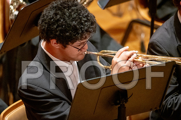 2024 University of Illinois High School Orchestra ClinicFebruary 24, 2024