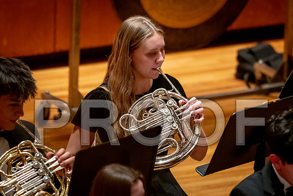2024 University of Illinois High School Orchestra ClinicFebruary 24, 2024