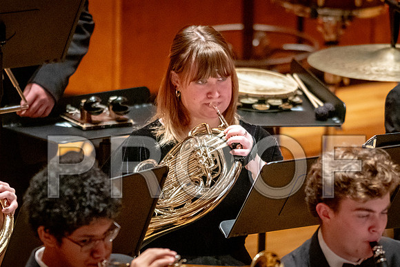 2024 University of Illinois High School Orchestra ClinicFebruary 24, 2024