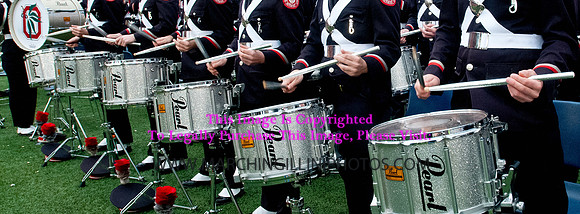 Ohio State Buckeyes at Illinois Fighting Illini, Saturday, November 16, 2013 - Marching Illini Photos