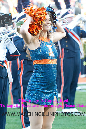Michigan State Spartans at Illinois Fighting Illini, Saturday, October 26, 2013 - Marching Illini Photos