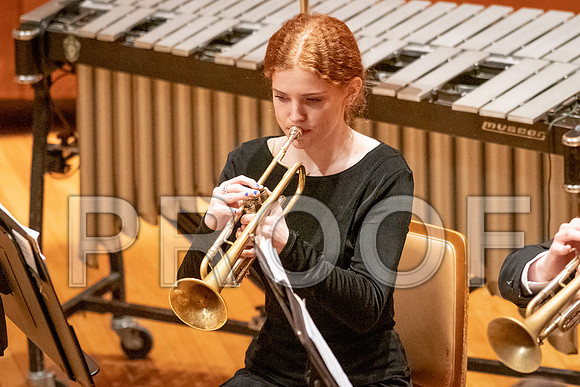 2023 All-Illinois Junior BandJanuary 20-21, 2023