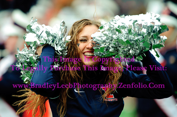 Penn State Nittany Lions at Illinois Fighting Illini, Saturday, November 22, 2014 - Marching Illini Photos
