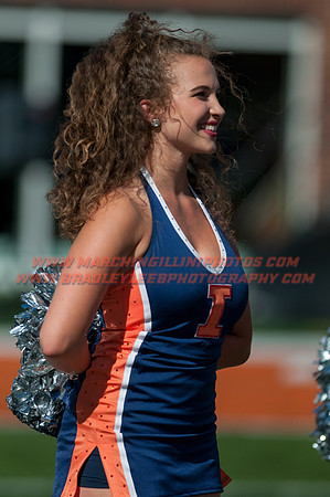 Middle Tennessee Illinois Football