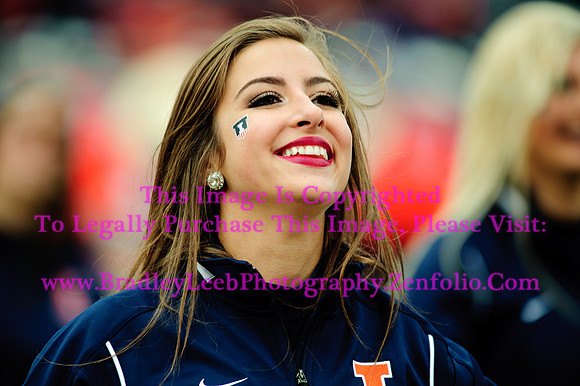 Penn State Nittany Lions at Illinois Fighting Illini, Saturday, November 22, 2014 - Marching Illini Photos