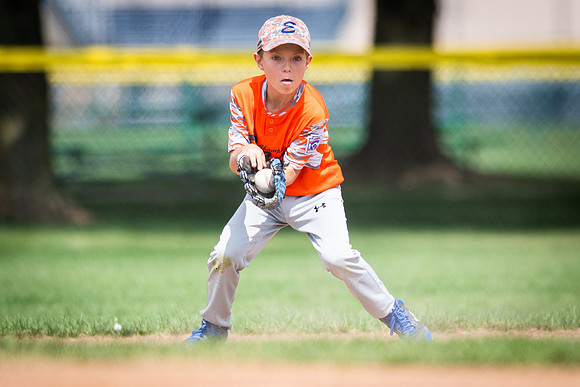 July 28, 2018 Little League State Tournament Champaign East vs. Homewood Heights