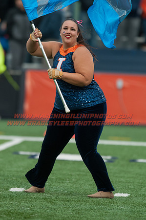 Nebraska at Illinois Oct. 3, 2015 - MI Flags 005