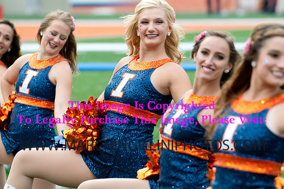 Michigan State Spartans at Illinois Fighting Illini, Saturday, October 26, 2013 - Marching Illini Photos