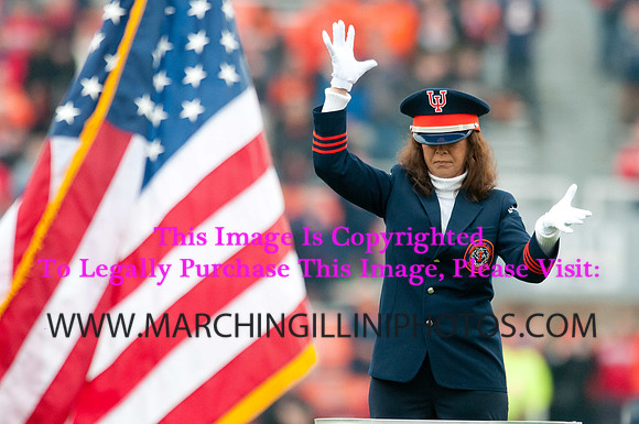 Ohio State Buckeyes at Illinois Fighting Illini, Saturday, November 16, 2013 - Marching Illini Photos