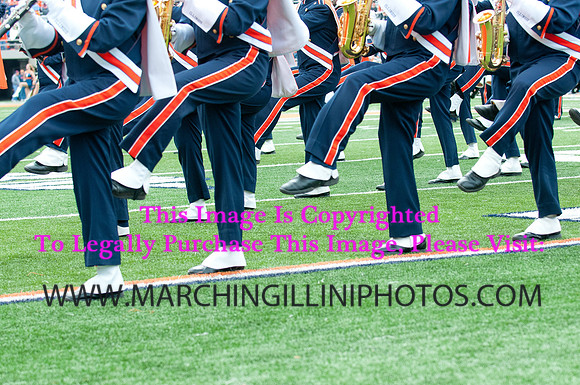 Michigan State Spartans at Illinois Fighting Illini, Saturday, October 26, 2013 - Marching Illini Photos