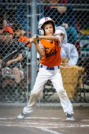 July 22, 2018 Little League Section All-Star TournamentChampaign East vs. Macomb