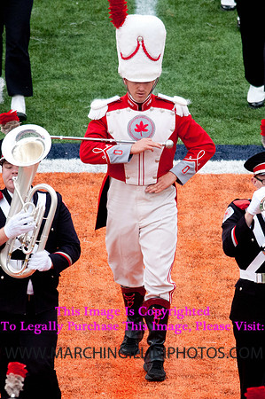 Ohio State Buckeyes at Illinois Fighting Illini, Saturday, November 16, 2013 - Marching Illini Photos