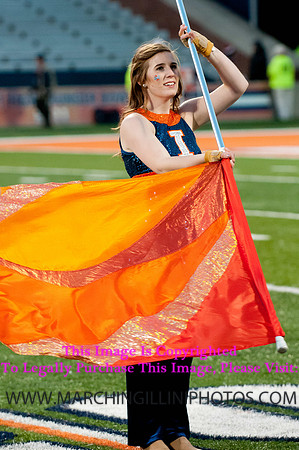 Northwestern Wildcats at Illinois Fighting Illini, Saturday, November 30, 2013 - Marching Illini Photos