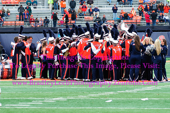 Penn State Nittany Lions at Illinois Fighting Illini, Saturday, November 22, 2014 - Marching Illini Photos