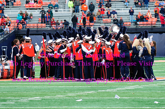 Penn State Nittany Lions at Illinois Fighting Illini, Saturday, November 22, 2014 - Marching Illini Photos
