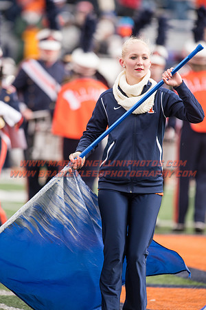 Iowa at Illinois, Saturday, November 19, 2016 - Marching Illini Photos
