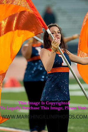 Northwestern Wildcats at Illinois Fighting Illini, Saturday, November 30, 2013 - Marching Illini Photos