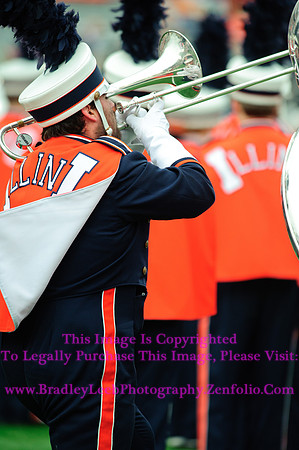 Penn State Nittany Lions at Illinois Fighting Illini, Saturday, November 22, 2014 - Marching Illini Photos