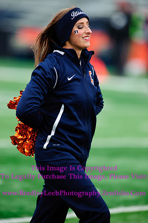 Penn State Nittany Lions at Illinois Fighting Illini, Saturday, November 22, 2014 - Marching Illini Photos