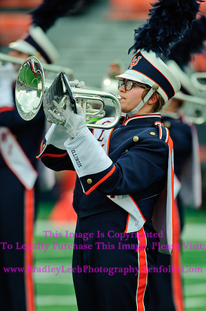 Penn State Nittany Lions at Illinois Fighting Illini, Saturday, November 22, 2014 - Marching Illini Photos