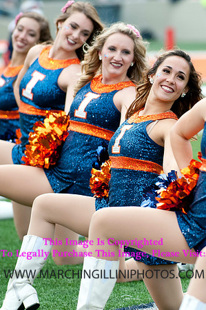 Michigan State Spartans at Illinois Fighting Illini, Saturday, October 26, 2013 - Marching Illini Photos