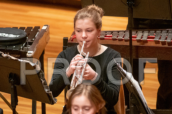 2023 All-Illinois Junior BandJanuary 20-21, 2023