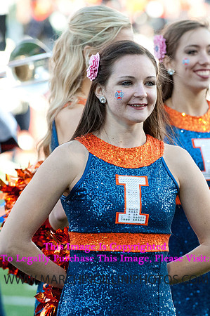 Michigan State Spartans at Illinois Fighting Illini, Saturday, October 26, 2013 - Marching Illini Photos