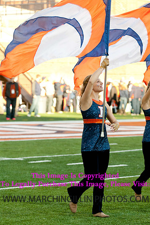 Northwestern Wildcats at Illinois Fighting Illini, Saturday, November 30, 2013 - Marching Illini Photos