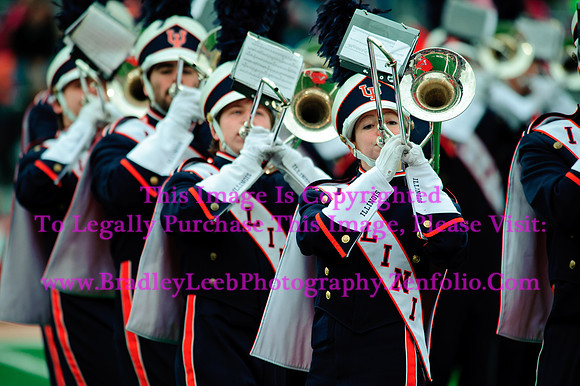 Penn State Nittany Lions at Illinois Fighting Illini, Saturday, November 22, 2014 - Marching Illini Photos