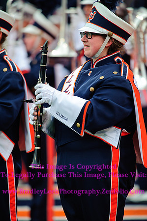 Penn State Nittany Lions at Illinois Fighting Illini, Saturday, November 22, 2014 - Marching Illini Photos