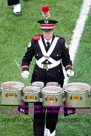 Ohio State Buckeyes at Illinois Fighting Illini, Saturday, November 16, 2013 - Marching Illini Photos
