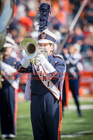 Rutgers Scarlett Knights at Illinois Fighting Illini, Saturday, October 14, 2017 - Marching Illini Photos