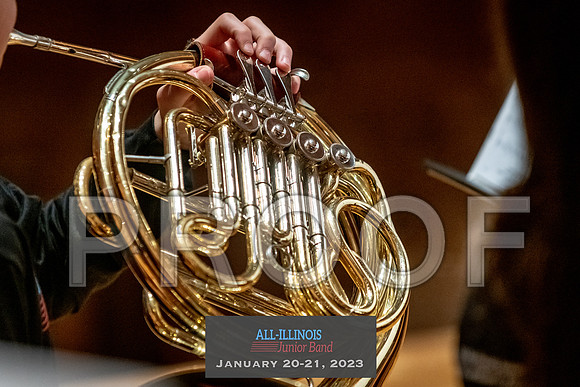 2023 All-Illinois Junior BandJanuary 20-21, 2023