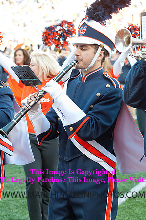 Michigan State Spartans at Illinois Fighting Illini, Saturday, October 26, 2013 - Marching Illini Photos
