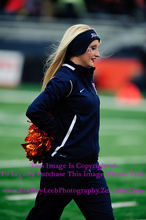 Penn State Nittany Lions at Illinois Fighting Illini, Saturday, November 22, 2014 - Marching Illini Photos