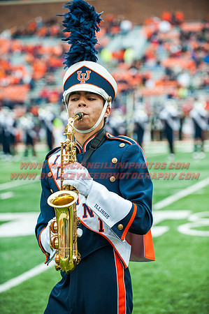 Wisconsin at Illinois, Saturday, Oct. 24, 2015 - Marching Illini Photos