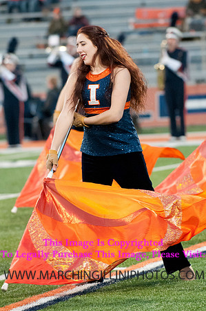 Northwestern Wildcats at Illinois Fighting Illini, Saturday, November 30, 2013 - Marching Illini Photos