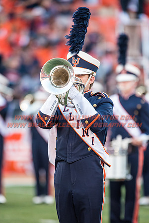 North Carolina at Illinois Fighting Illini, Saturday, September 10, 2016 - Marching Illini Photos